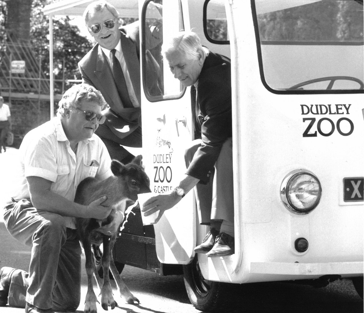 E & S Photo Archive (@esphotoarchive) on Twitter photo In 1989, the Central Midlands Co-Op donated a milk float to Dudley Zoo as an environmentally-friendly way to carry food between the enclosures. The photo shows Bill Berridge feeding Flick the reindeer, with Derek Smith & John Casey. #ArchiveSustainability #Archive30 <a href="/ARAScot/">ARA Scotland</a> In 1989, the Central Midlands Co-Op donated a milk float to Dudley Zoo as an environmentally-friendly way to carry food between the enclosures. The photo shows Bill Berridge feeding Flick the reindeer, with Derek Smith & John Casey. #ArchiveSustainability #Archive30 <a href="/ARAScot/">ARA Scotland</a>