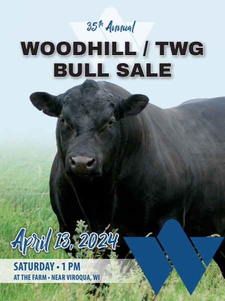 sncherne's tweet photo. Woodhill Bull Sale 4/13
Selling 158 angus bulls backed by 40 years of focused breeding. Visit https://t.co/CzWbBfWPvS or https://t.co/pkBwo1fK61 to view videos https://t.co/tZwVcU3Xh9