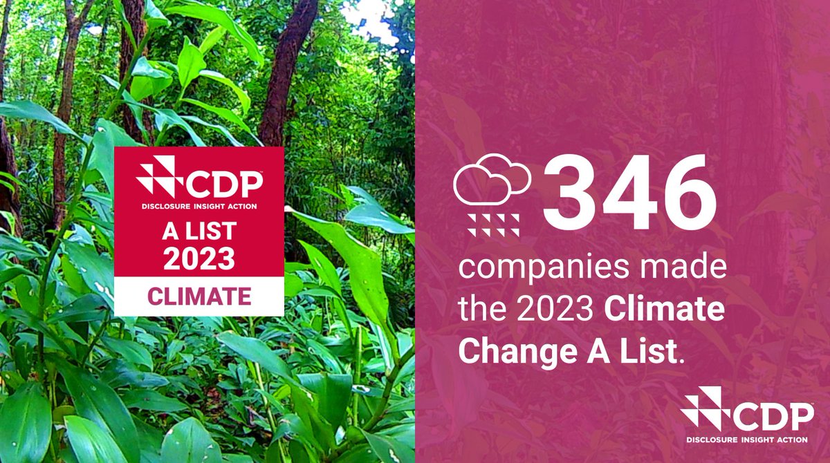 📣 Just under 400 companies made the A List for their Climate Change, Forests and Water Security disclosures in 2023. Discover more: bit.ly/CompanyScores2…