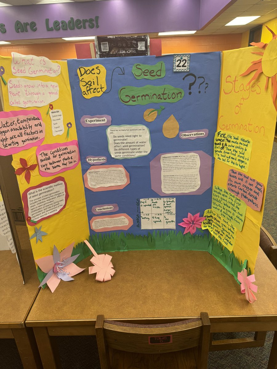 Emerald Shores tweet media