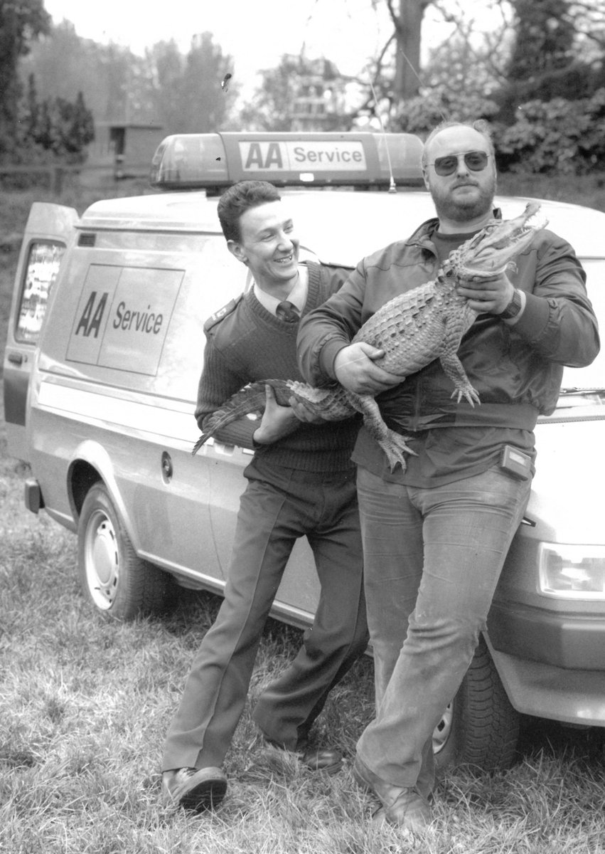 This undated photograph shows two men holding a small crocodile next to an <a href="/TheAA_UK/">The AA</a> van, but there is no caption on the back. If anyone knows what is going on here, we would love to hear it! #ArchiveAnimals #Archive30 <a href="/ARAScot/">ARA Scotland</a>