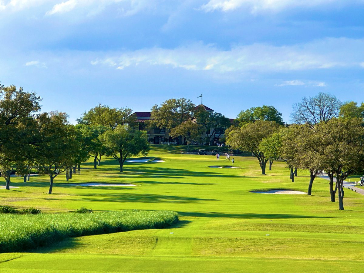 Rick Golfs tweet media