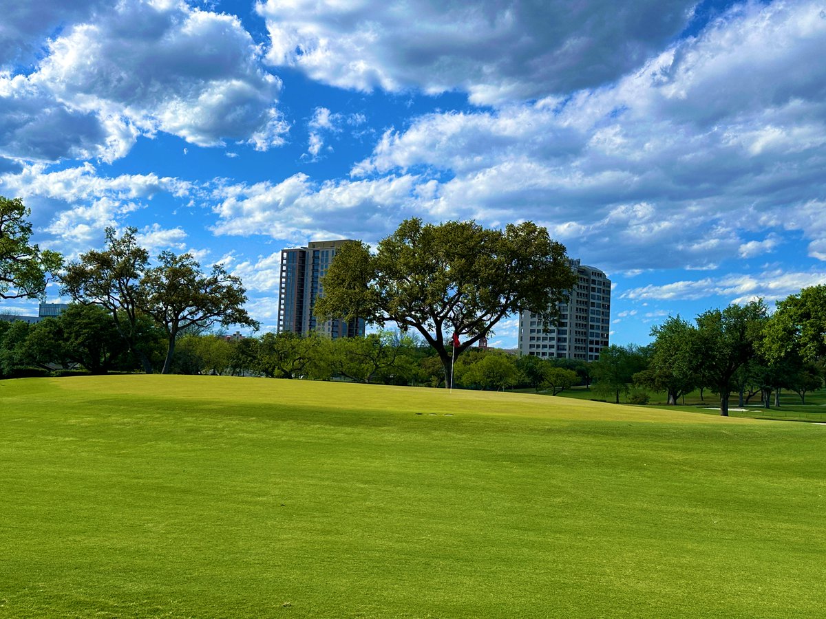 Rick Golfs tweet media