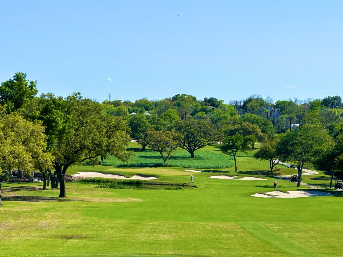 Rick Golfs tweet media