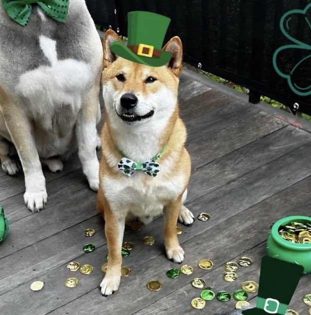 cb_doge tweet picture