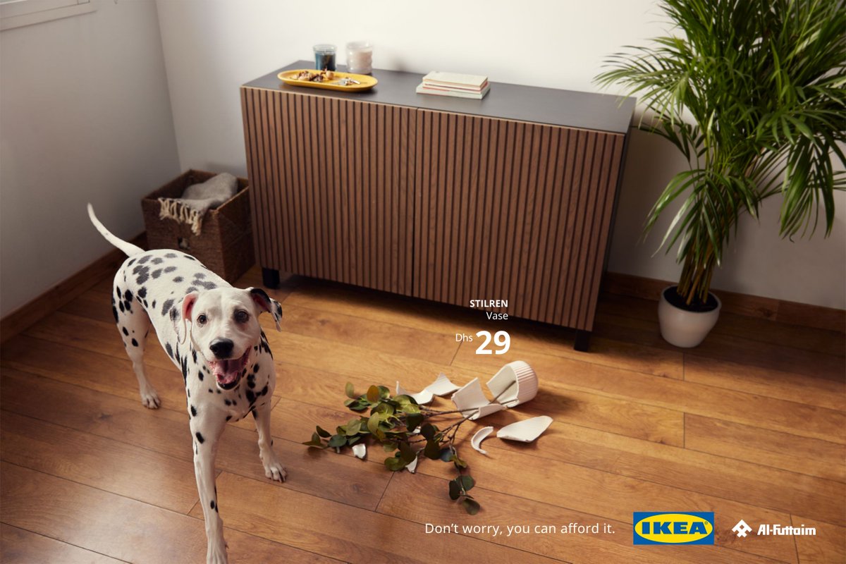 lacriaturacreat's tweet photo. La última campaña de IKEA viene protagonizada por 4 mascotas traviesas y un mensaje de tranquilidad para los humanos con los que conviven: «No pasa nada, te lo puedes permitir». https://t.co/damhIXnvwP