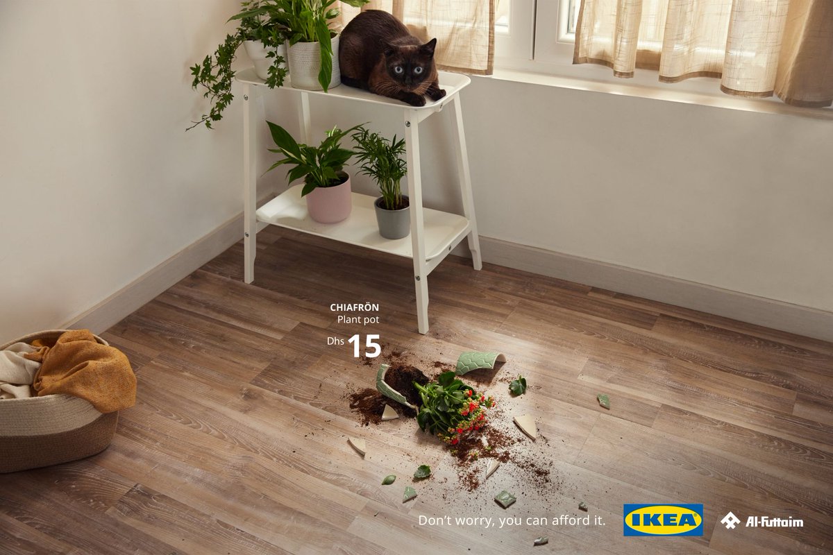 lacriaturacreat's tweet photo. La última campaña de IKEA viene protagonizada por 4 mascotas traviesas y un mensaje de tranquilidad para los humanos con los que conviven: «No pasa nada, te lo puedes permitir». https://t.co/damhIXnvwP