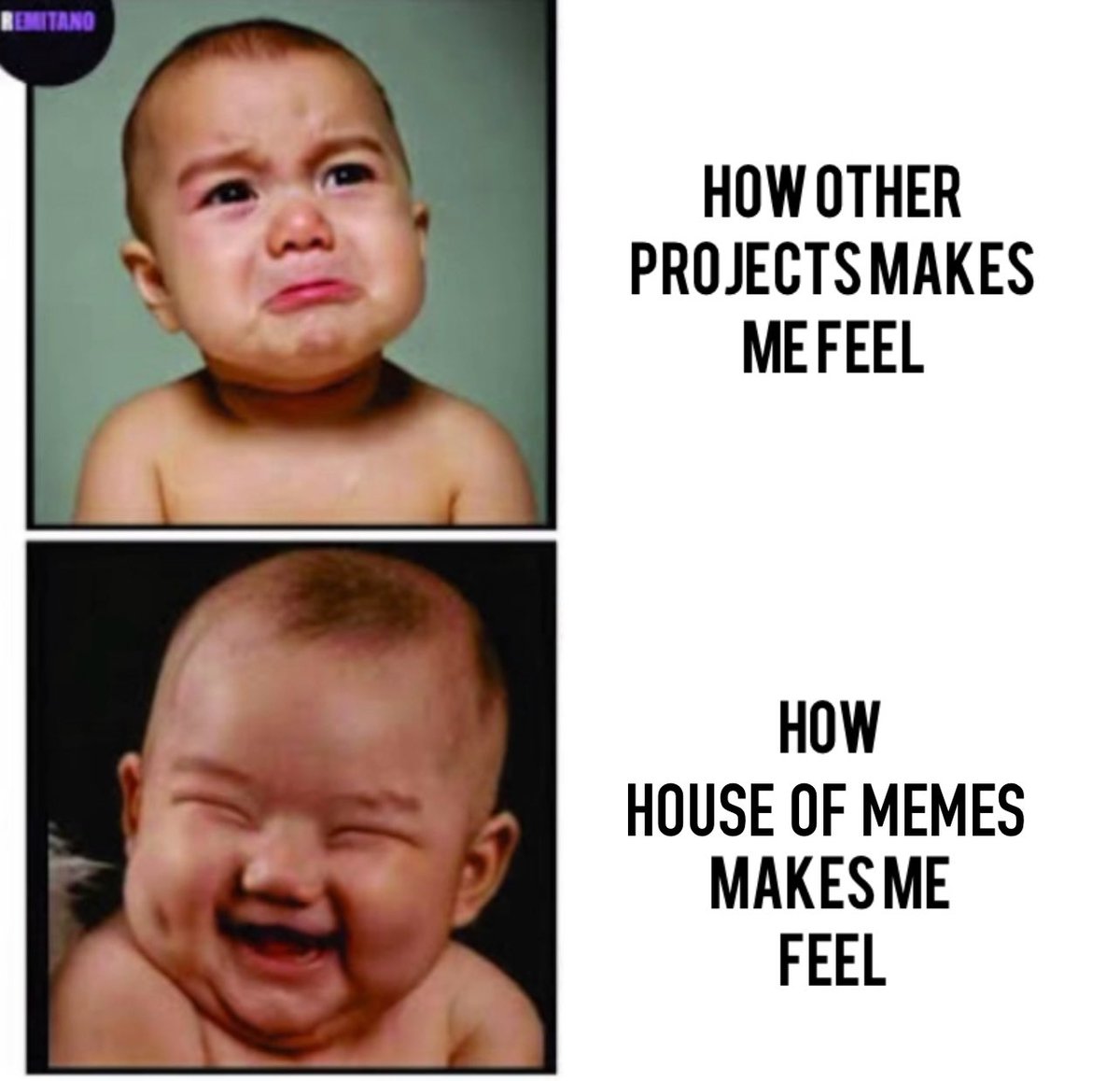 House Of Meme tweet media