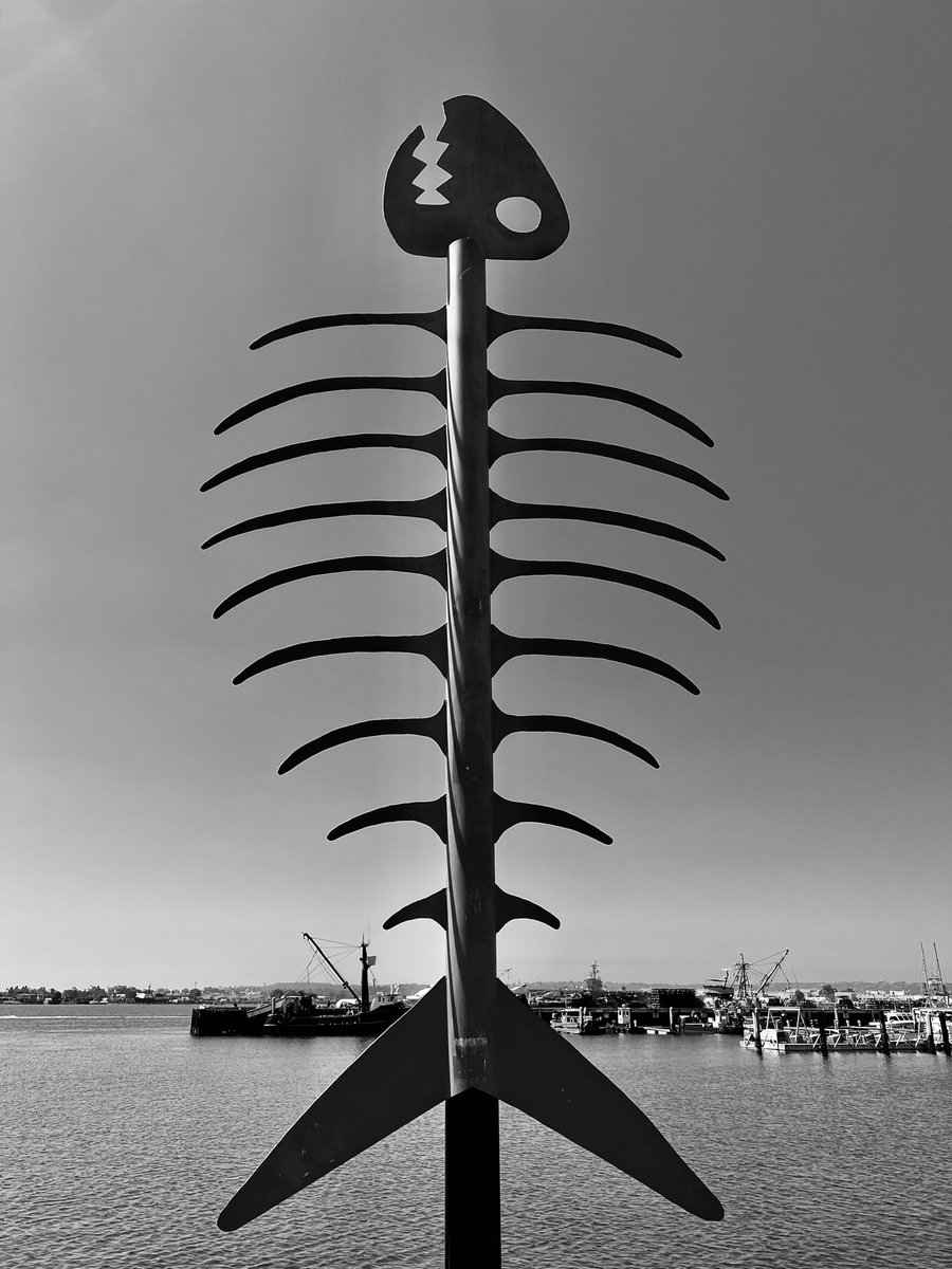 Shauna Maty, MD, MPH tweet media