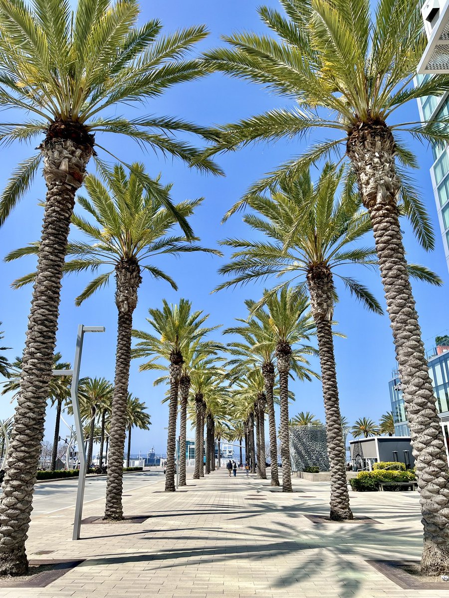 Shauna Maty, MD, MPH tweet media