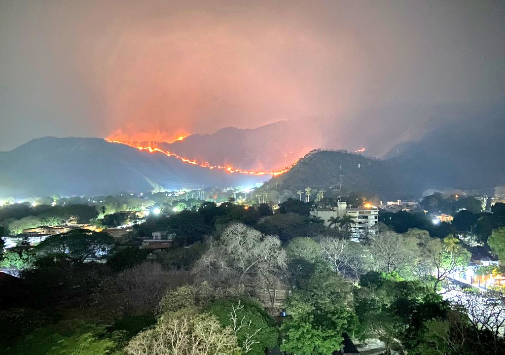 Lo que se está perdiendo en el #HenriPittier es irrecuperable.
A pesar de que podría ser reforestado, cuando exista prevención efectiva de incendios, las especies endémicas, únicas del parque, no van a regresar por arte de magia.
Sin prevención no hay Pittier.