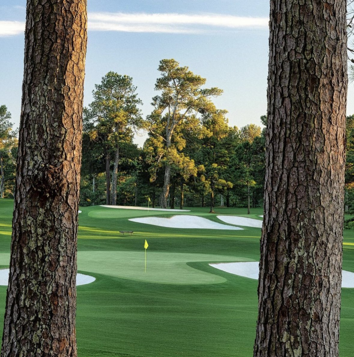 flushingitgolf's tweet photo. Augusta National is looking stunning with the Masters just 2 weeks away 👌 https://t.co/pxhVl41u8V