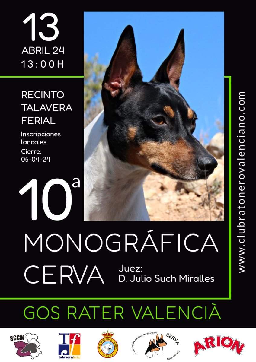 TalaveraFerial's tweet photo. Un año mas acogemos la #Expocanina de CLM, del 13 al 14 de abril en #Talavera
En esta edición podréis disfrutar de:
✔️43 Expo Intl y 37 Nal Canina CLM
✔️Monográfico #Chihuahua
✔️Monográfico #carea #castellanomanchego
✔️Monográfica Cerva #gosratervalenciá
✔️#biewerterrier ... https://t.co/0mKoIXZMSp