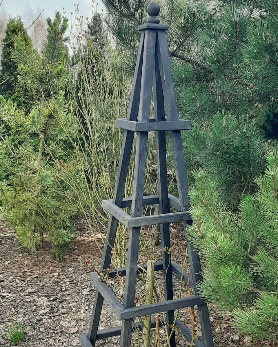 CasualDIY's tweet photo. Just made this garden obelisk. Made from cheap construction lumber went over my rose. Hopefully she will appreciate all the hard work I've put into making this obelisk😅

Full video with detailed building process is on my channel, go ahead and check it out. https://t.co/RuQ7O5vPQd