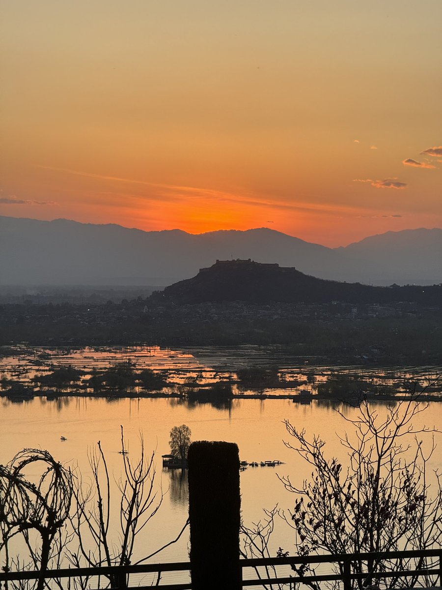 As the sun kisses the horizon, Dal Lake in Kashmir turns into a masterpiece of colors, painting the sky with hues of gold and rose. Serenity envelopes the scene, offering a moment of tranquility amidst nature’s grandeur!!

#DalLakeSunset #KashmirBeauty 🌅💖