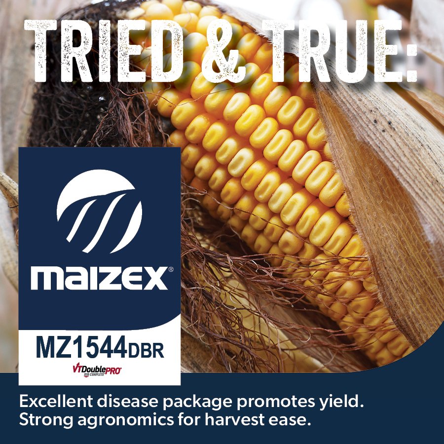 Talk to your #MaizexDealer about which hybrids are best for you! #fieldbyfield #Plant24 #CanadianGrownCanadianOwned