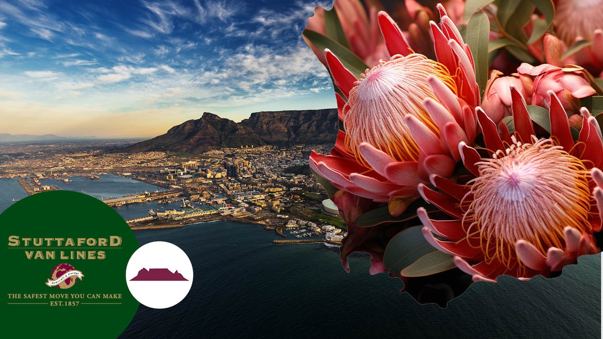 StuttafordVanLn's tweet image. Make a majestic move to Cape Town with Stuttaford Van Lines!

stuttafordvanlines.co.za/contact-us/

#capetown #movinghouse #semigration #moving #movers