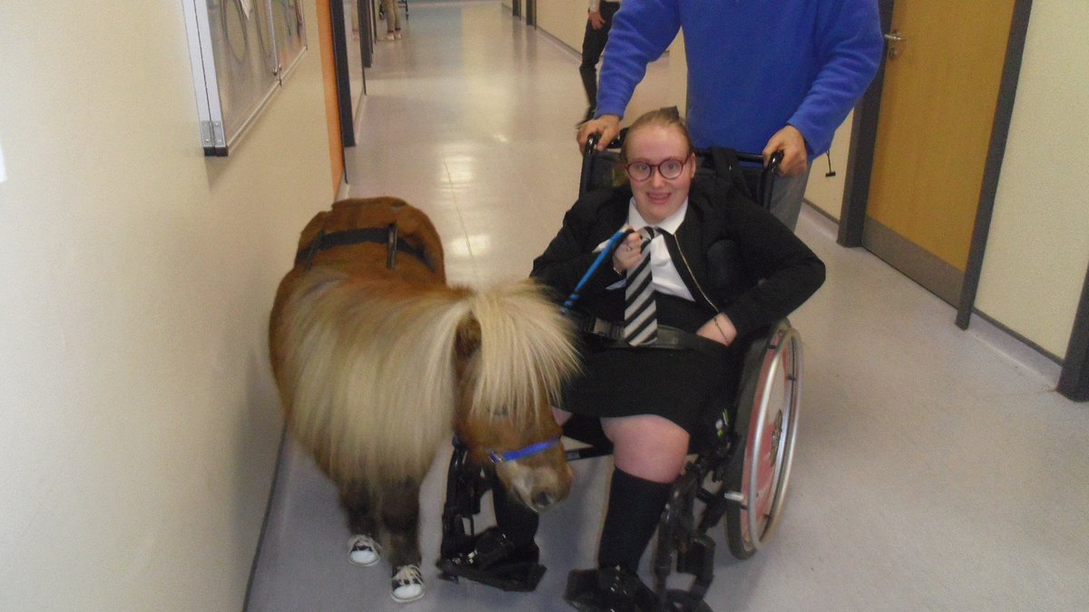 Visit by Ponies to Buchanan High School
