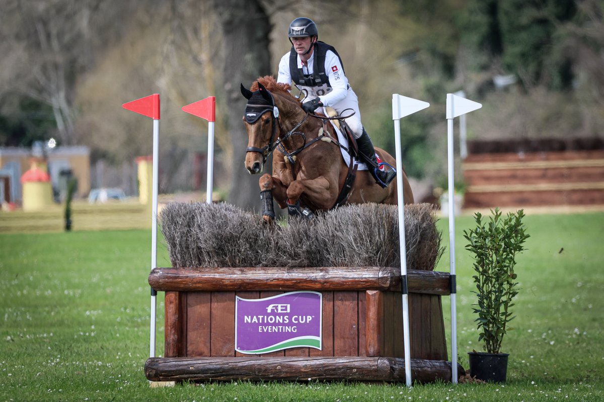 FEI_Global's tweet photo. Oh, March, you were simply magical!🦄

Take a look at what March threw our way👉 https://t.co/Pt4ahtPQAl

📸©FEI/Liz Gregg/Massimo Argenziano/Richard Juilliart

#FEIJumping #FEIDressage #FEIEventing #FEIParaDressage #InternationalWomensDay #MarchMaddness #MagicalMarch https://t.co/rNodMfrUaX