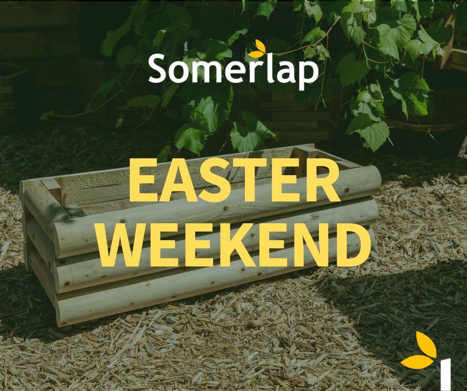 The Somerlap Team tweet media