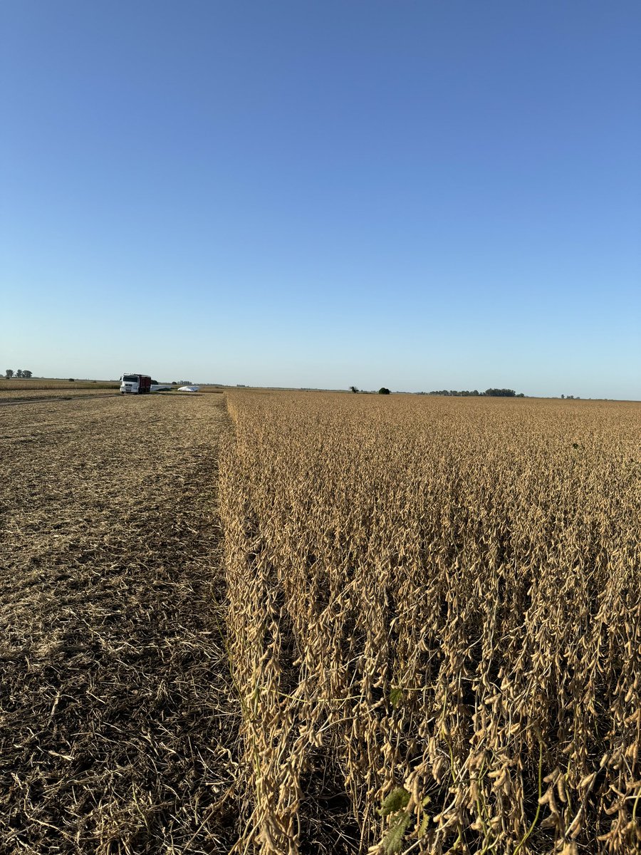 MateoGubinelli's tweet photo. Comenzamos la cosecha de los primeros lotes de soja, zona Marcos Juárez- Córdoba 🌱 https://t.co/JoQ8suDxk7