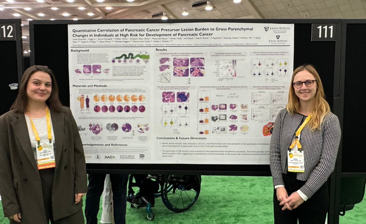 luciedqt's tweet image. Had a great time presenting our preliminary work on PanIN burden in high risk individuals yesterday at #USCAP2024 in Baltimore. Thanks to everyone who stopped by for the great discussions and to my mentor @AshleyKiemen for the support! 🤩