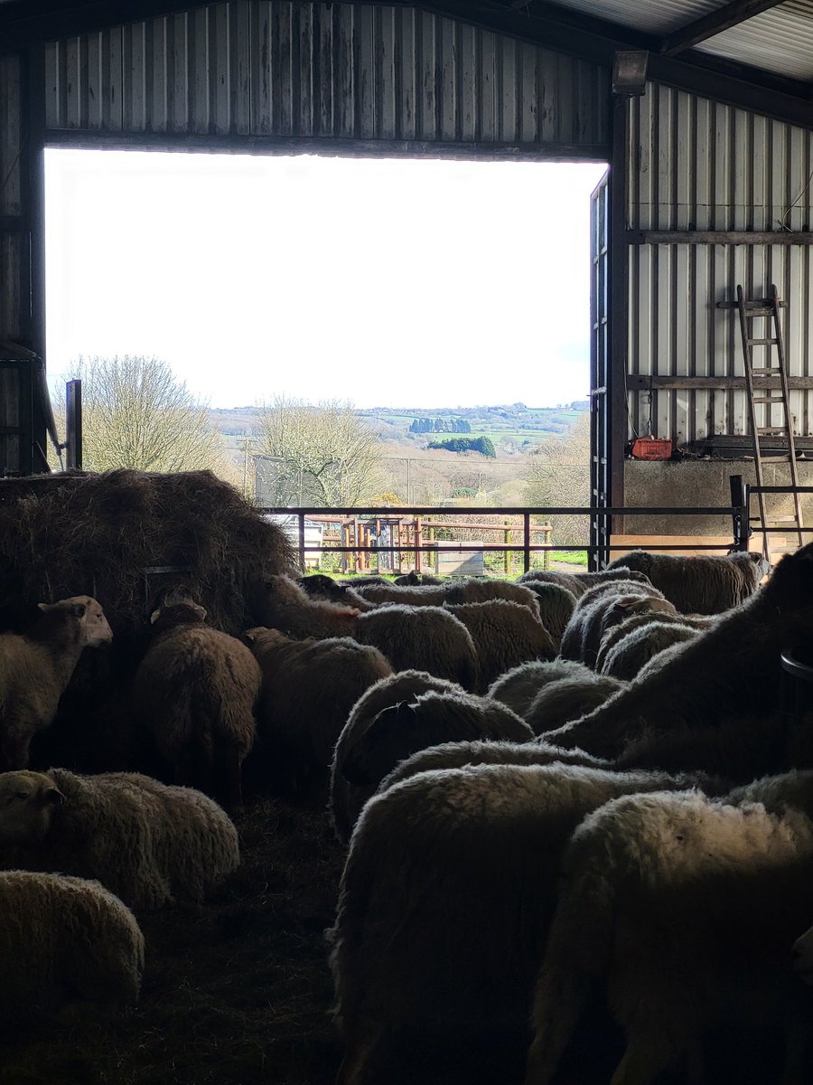 Julie Jenkins tweet media