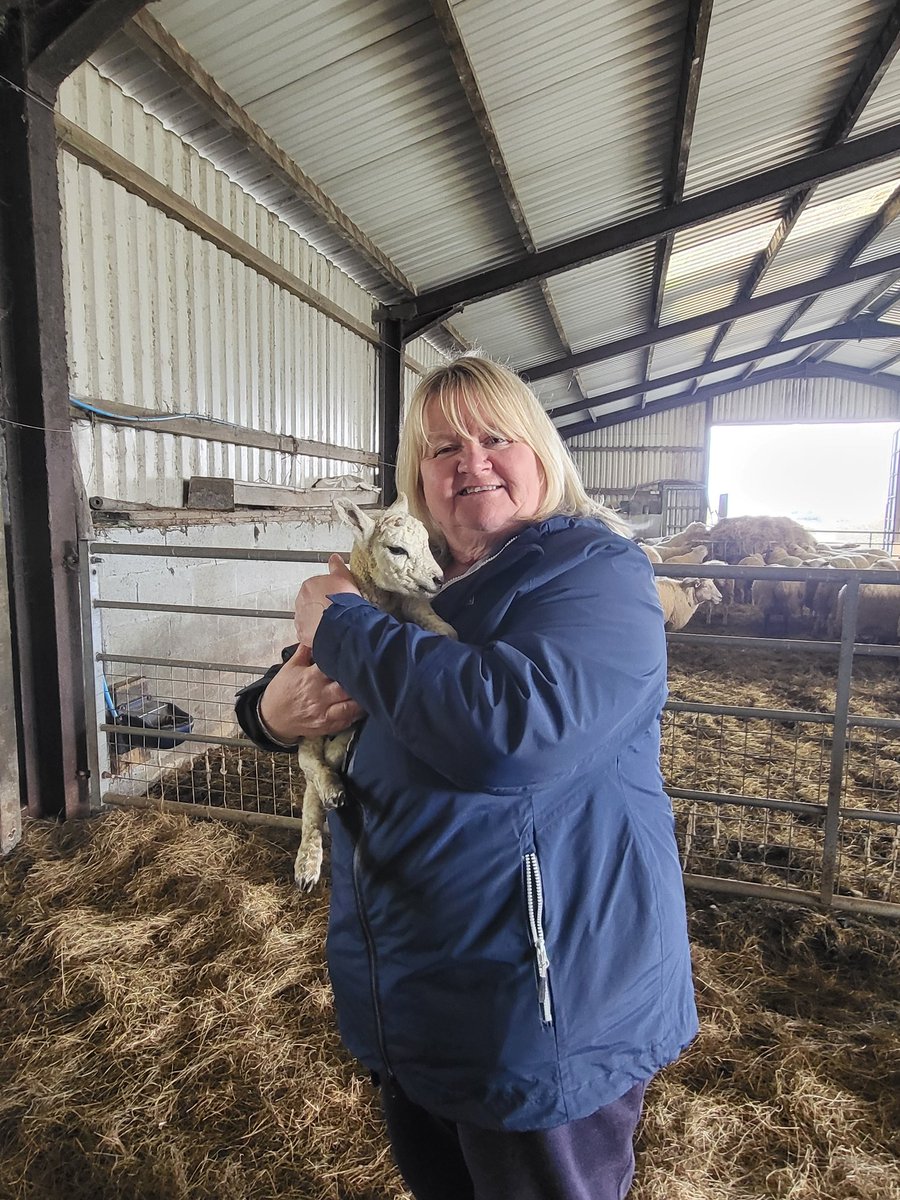 Julie Jenkins tweet media