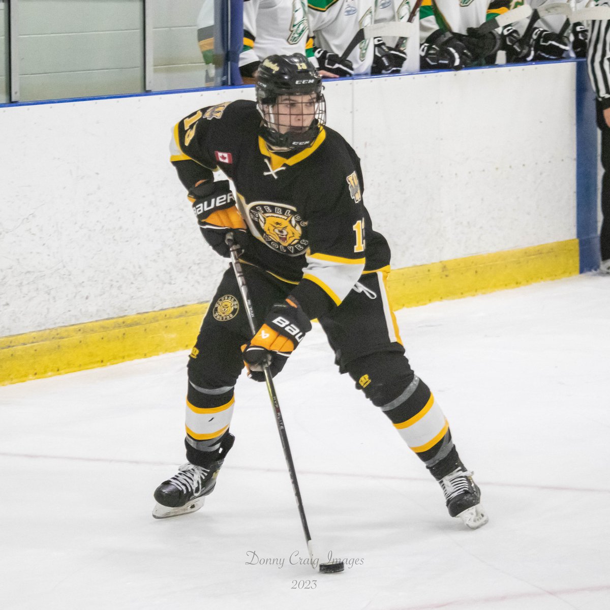 watwolvesu18aaa's tweet photo. Last night the Wolves won 5-1, in Sarnia, to take a 5 pts to 1 lead in this 6 pt series. We look to close it out Saturday night at the Rec Centre. Come support the Wolves in our @ALLIANCE_Hockey U18 championship quest! @519sportsonline @Waterloo_Wolves 

👇#13 Jack Clarke https://t.co/FiGGevvgh4