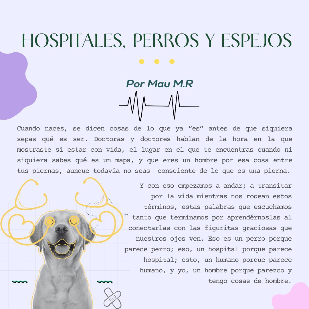 Observatorio de Género y Juventud tweet media