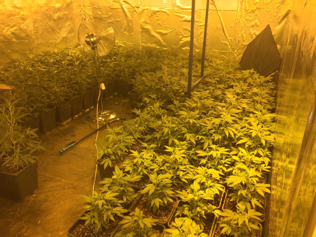 Amsterdamse Federatie van Woningcorporaties tweet media