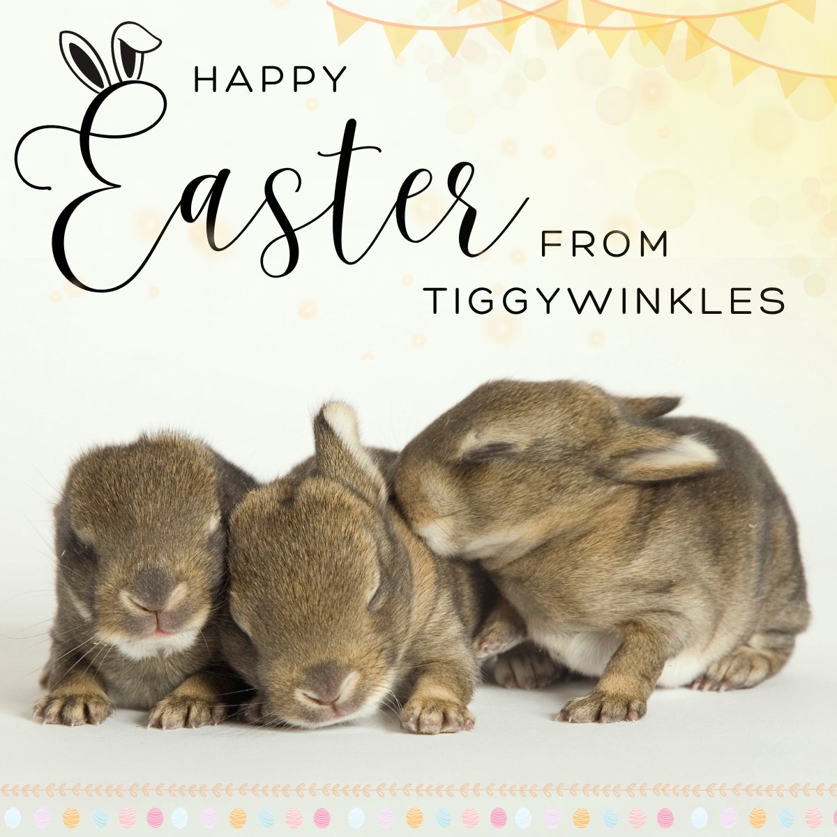 A Hop-py Happy Easter from all at Tiggywinkles! We will be open 24hrs a day to take in sick, injured, & orphaned animals – so if you find a wild animal in need, please turn up any time. Our social media will not be monitored, so please call us on 01844 292292 in an emergency.