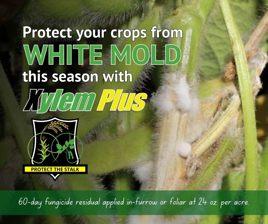 AgPerformance_'s tweet photo. Upgrade your #crop protection game with #XylemPlus. Packed with powerful, patented phosphites, it provides up to a 60-day residual for defense against #WhiteMold and more! https://t.co/e9Wylcsnui 

Photo courtesy of Crop Protection Network https://t.co/7ahAhLbLEy