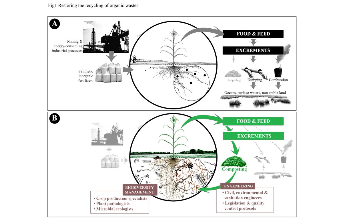 Our new paper on how agroecological plant production is essential for #OneHealth: More than food: Why restoring the cycle of organic matter in sustainable plant production is essential for the One Health nexus | CABI Reviews cabidigitallibrary.org/doi/10.1079/ca…