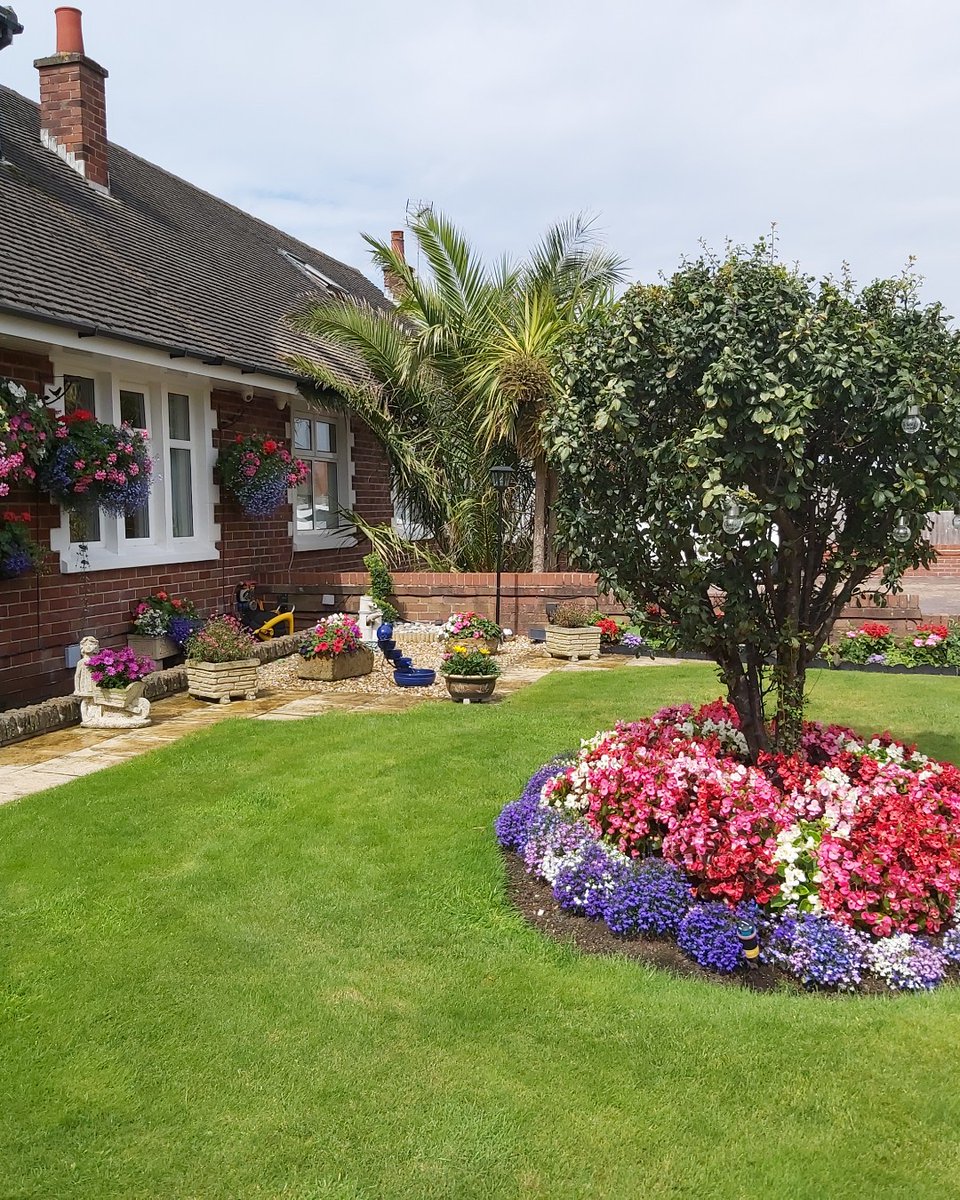 GreenThumb Lawn Treatment Service tweet media