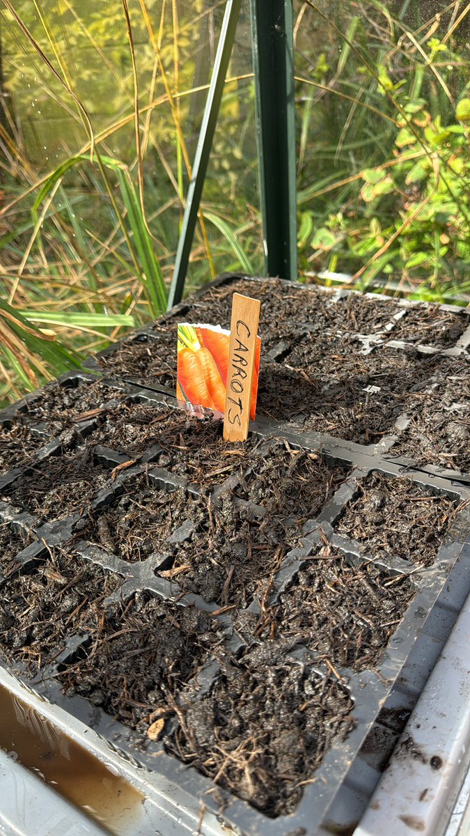 We have so missed our gardening over the last few months 😉,

Our students have been so busy with the amazing Ronnie with lots of planting going on today 🥕 🪴