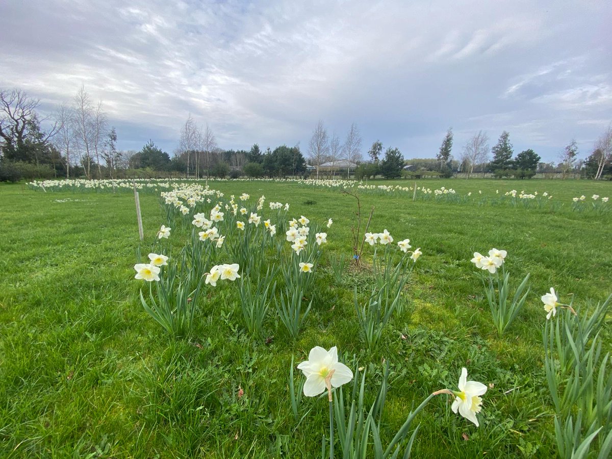 M&N Horticulture tweet media