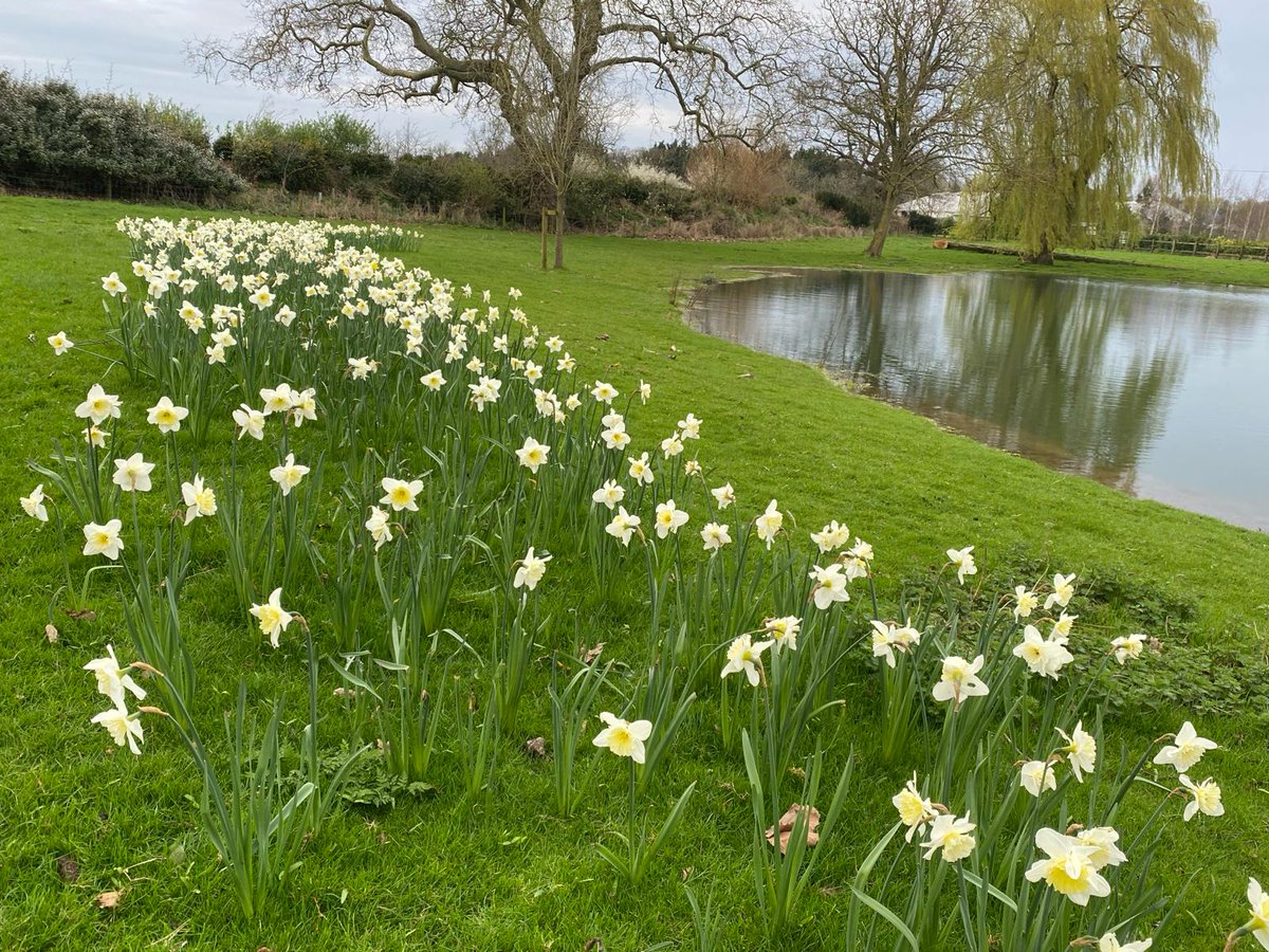 M&N Horticulture tweet media