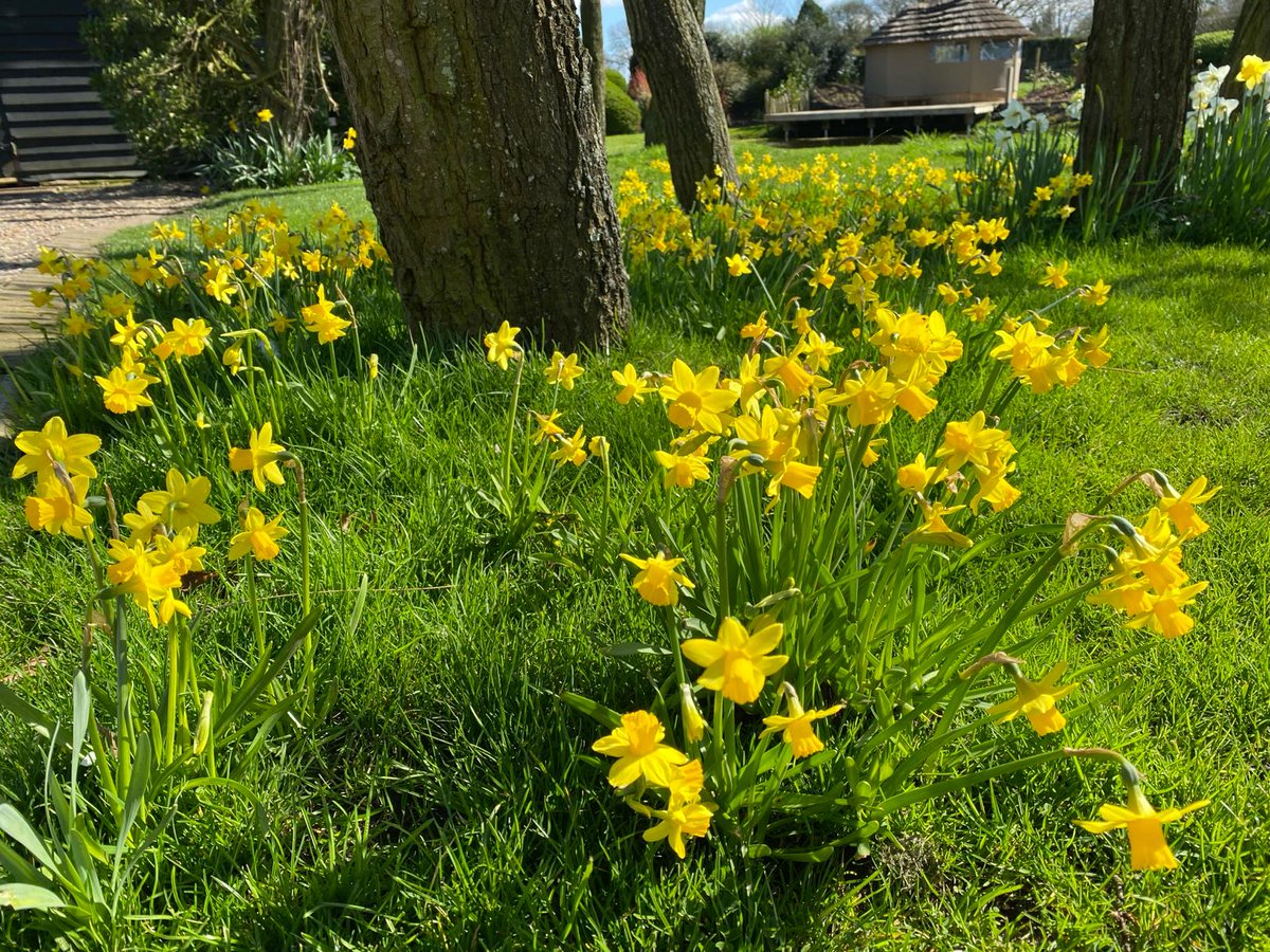 M&N Horticulture tweet media