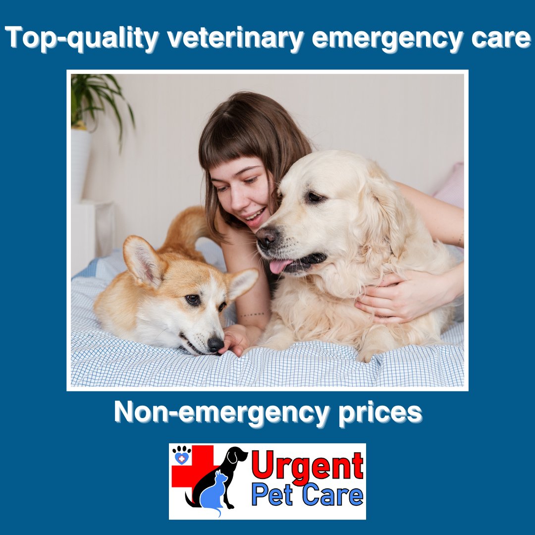 Top-quality veterinary emergency care with non-emergency prices🐶

Click the 🔗 in our bio for more information!

#urgentpetcare #emergency #vetlife #animals #cats #dogs #animalcare