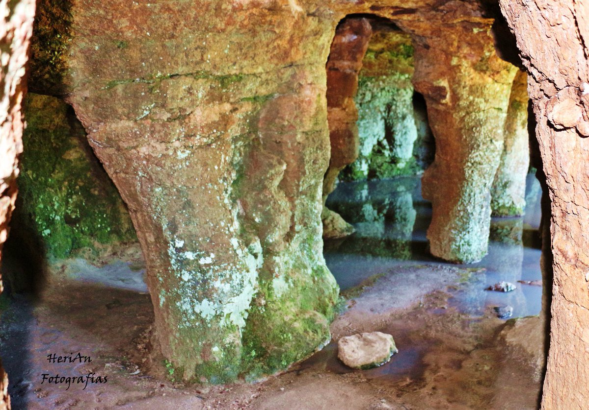 Las Grutas del Palacio son uno de los sitios emblemáticos de #Flores y forman parte de la #RutaUNESCO. A escasos 40 km de Trinidad cuentan con museo geológico, centro de visitantes, servicio de cantina y cartelería interpretativa. maps.app.goo.gl/TF7bdrjtUBHKEp… 📷 Heriberto Anández