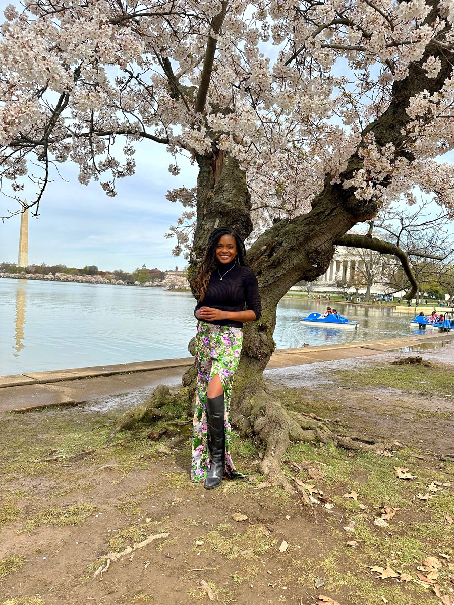 Saw the legendary #stumpydc #cherryblooms tree today. It's his last bloom. A reminder that life may continue in the most hostile environments.
.
Also a reminder that surviving & thriving are not the same. Sometimes safety is only a few feet away. You are not a tree... MOVE