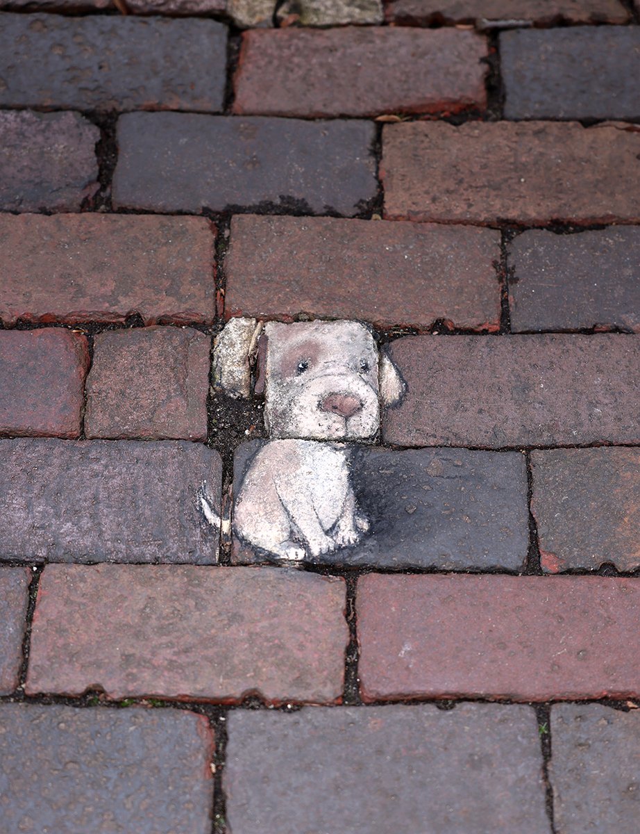 Blockhead Beagle #StreetArt #SidewalkChalk #brick #puppy #pareidolia #BeforeAndAfter
