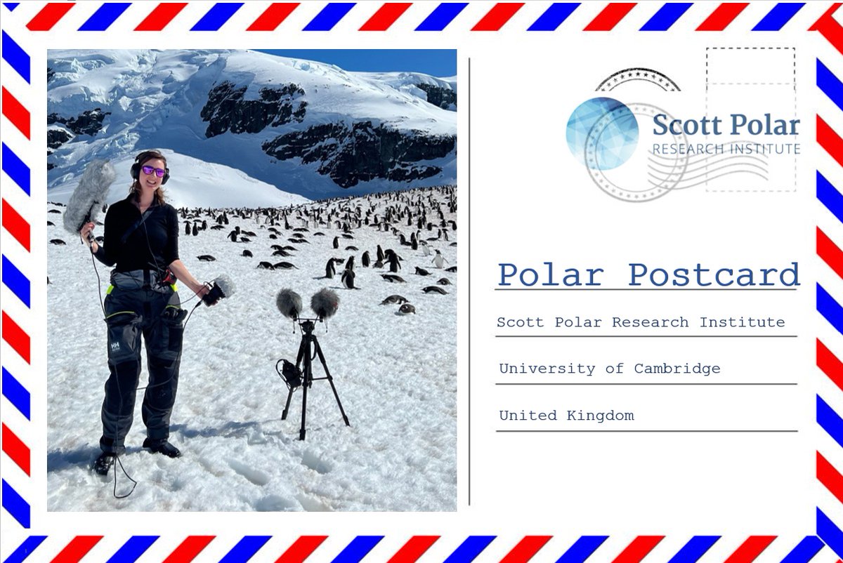 Our Polar Postcard this month showcases the work of @SimoneEringfeld, a PhD student studying Antarctic Soundscapes. Simone has recently returned from fieldwork in Antarctica!