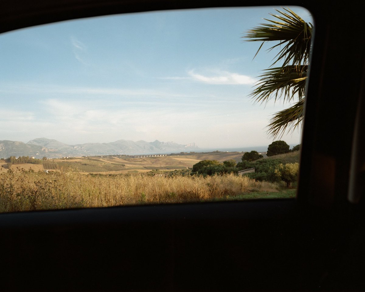 Gm from Sicily! ☕️

All photos will be part of "Between Vineyards and Olive Trees"

Up for reserves if you hold an edition of First Coffee!