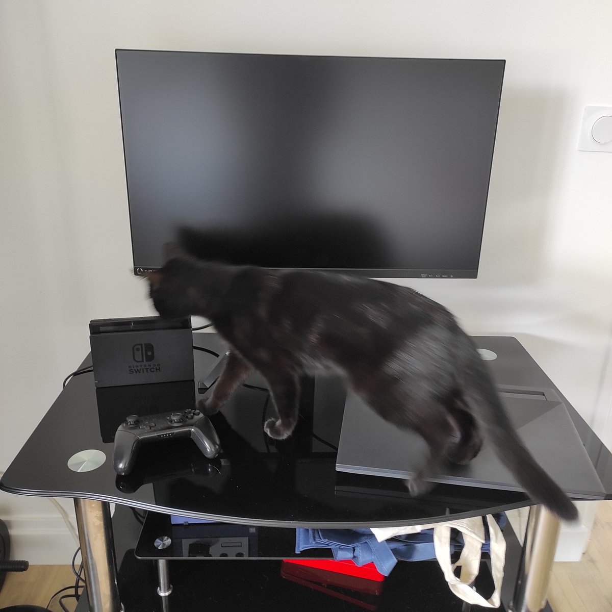 Merci beaucoup <a href="/SINJCrew/">SINJ Crew</a> le colis est bien arrivé comme prévu.

Le plan conquête est en vu, je parle pas de ce foutu chat toujours à mes pieds néanmoins je refuse pas à coup de patte.

Merci encore pour tout ❤️