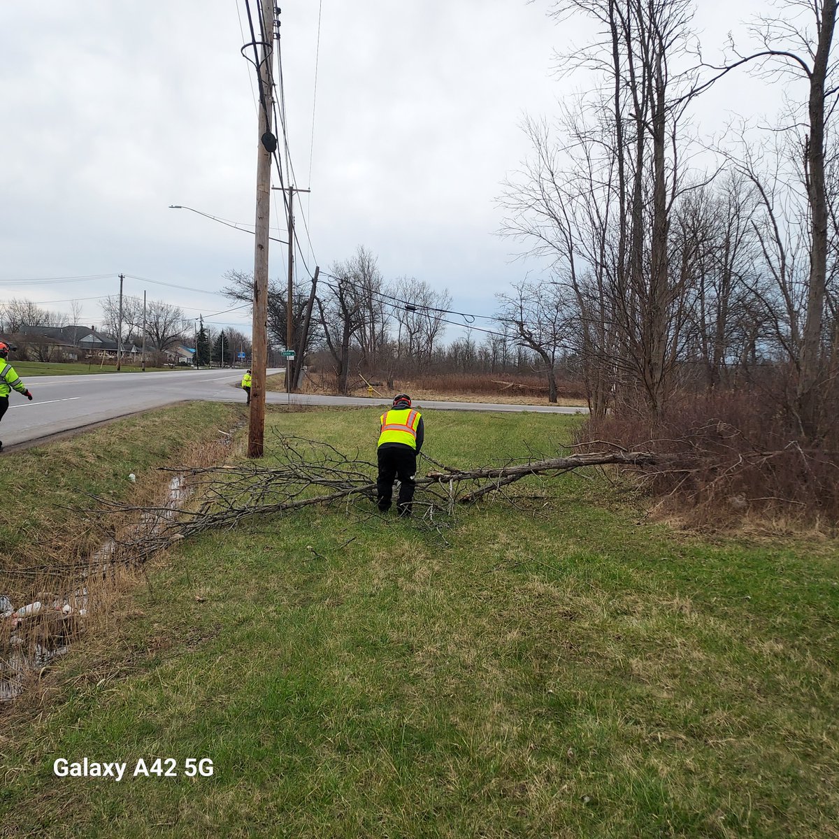 A DOT Tree Crew safely remove a hazardous tree along the roadside of Route 78 in the town of Clarence in Erie County