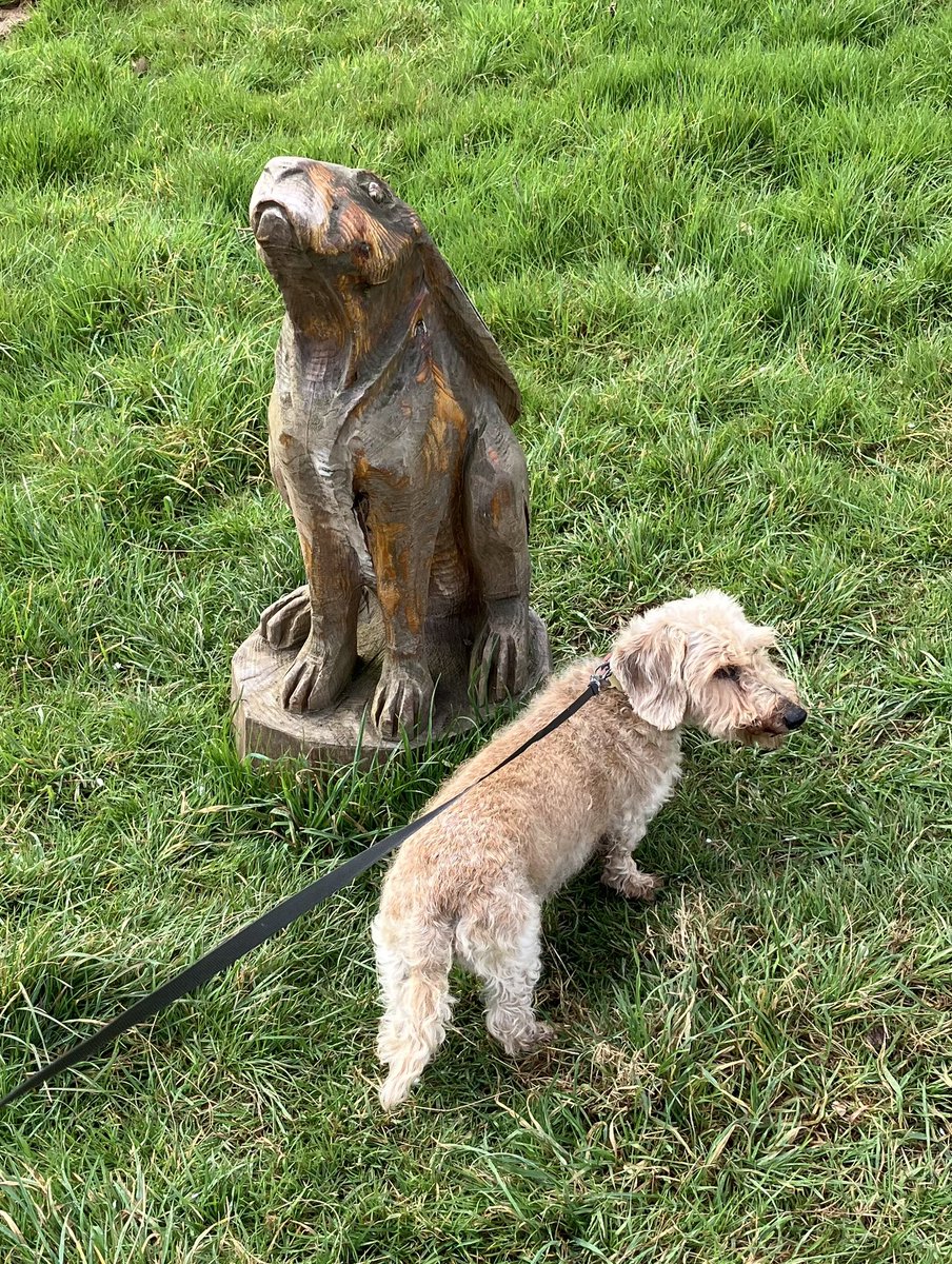 WireDax's tweet photo. Meeting strange animals on @NT_Brockhampton’s orchard walk https://t.co/NRHhURCBbx