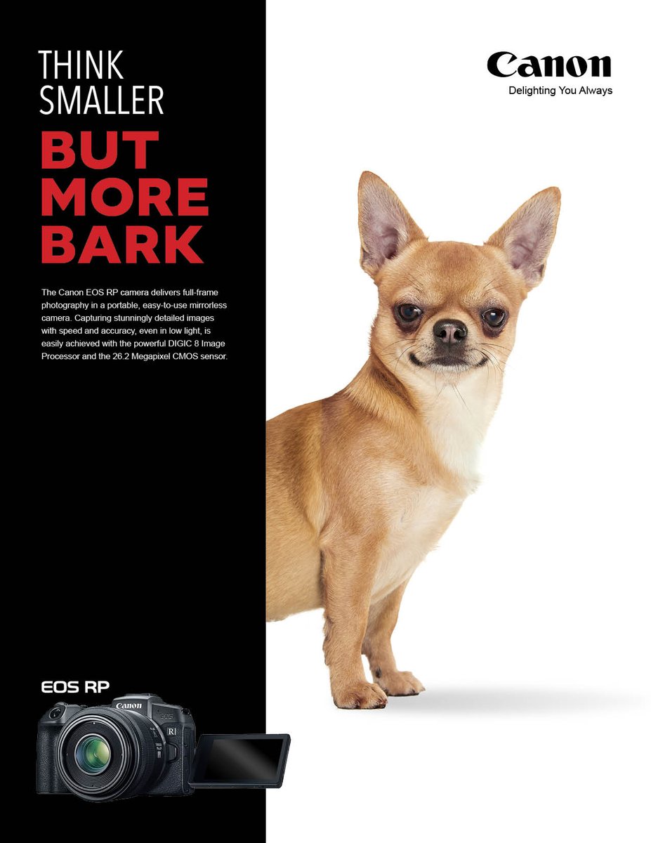 CaudioEliab's tweet photo. "Think smaller" campaign advertisement
#canon #advertising #campaign #graphicdesigner  #graphicdesign 
#pets #photography #dogs https://t.co/47fTsQyng2