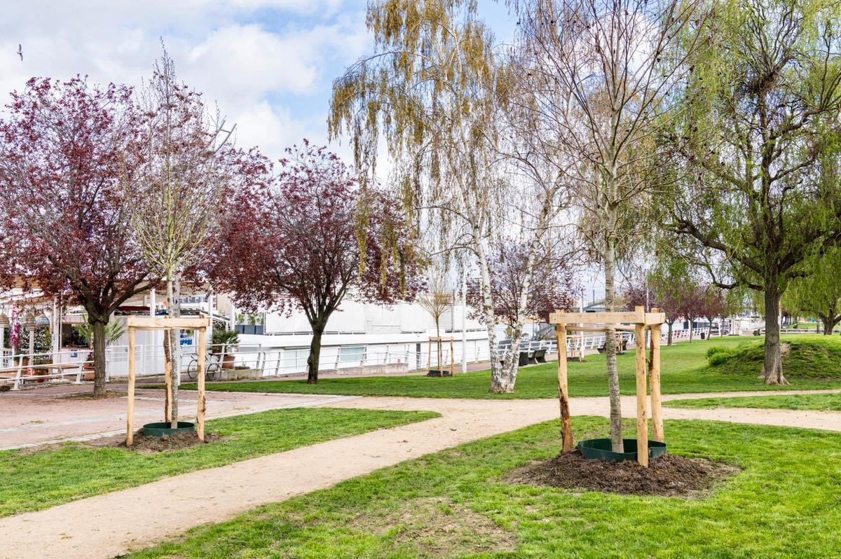 🌳 La Ville a planté 10 NOUVEAUX ARBRES ✅ 9 dans le Parc des Berges 1 dans le Parc de la Jatte 👨‍🌾👏 Bravo aux agents des Espaces verts qui ont réalisé ces plantations dans des conditions climatiques difficiles. #levallois